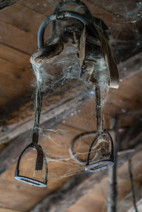 You can store harnesses in different ways, here you see one hanged up. Love the spider cob web around it.